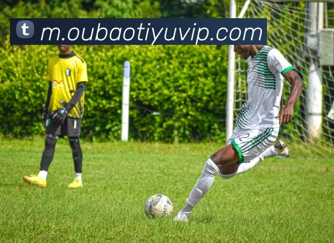 App Interface Preview