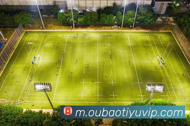 欧宝体育APP 封面图